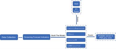Development, comparison, and validation of four intelligent, practical machine learning models for patients with prostate-specific antigen in the gray zone